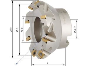 Rovinná fréza 45° Z10 průměr 100 mm EDE29990240 s vnitřním chlazením