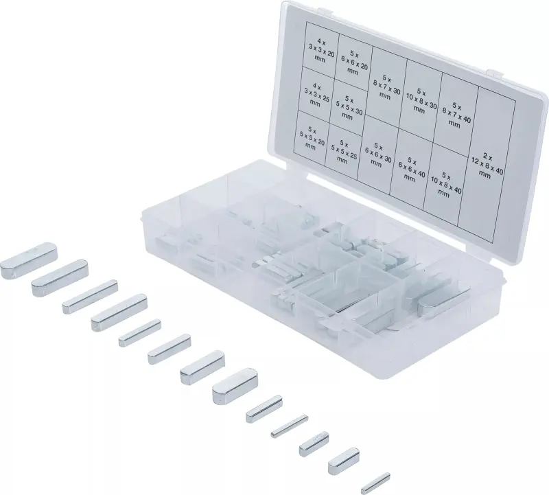 Těsná pera 3x3x20 mm ÷ 12x8x40 mm BGS108141 Sortiment 60 dílů (BGS108141)
