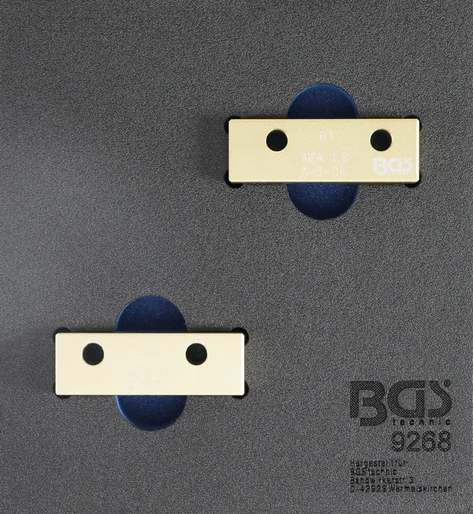 Nářaďový modul 1/6 - BGS109268 Aretace vačkové hřídele. Pro Alfa Romeo 1,6 L ECO (BGS109268)