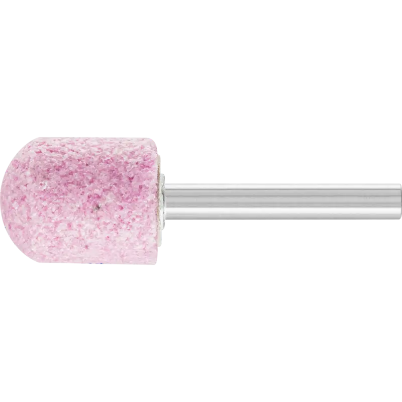 WR 2025 6 AR   30 O 5V TĚLÍSKO BRUSNÉ (PF4007220100943)