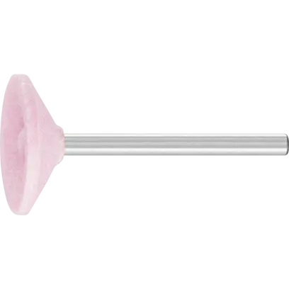 B81  3  AR 100 O  TĚLÍSKO BRUSNÉ (PF4007220117712)