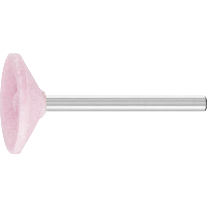 B81  3  AR 100 O  TĚLÍSKO BRUSNÉ (PF4007220117712)