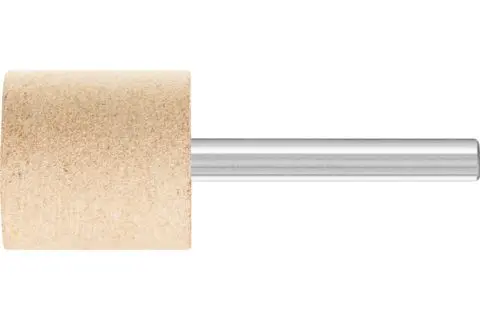 141508-pferd-145739-pf-zy-2525-6-aw-120-lr