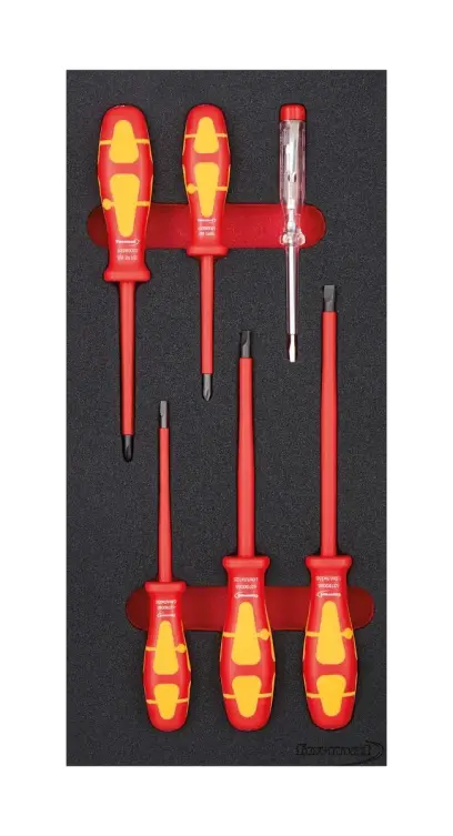 Modul pro nástroje 1/3 VDE šroubovák FORMAT