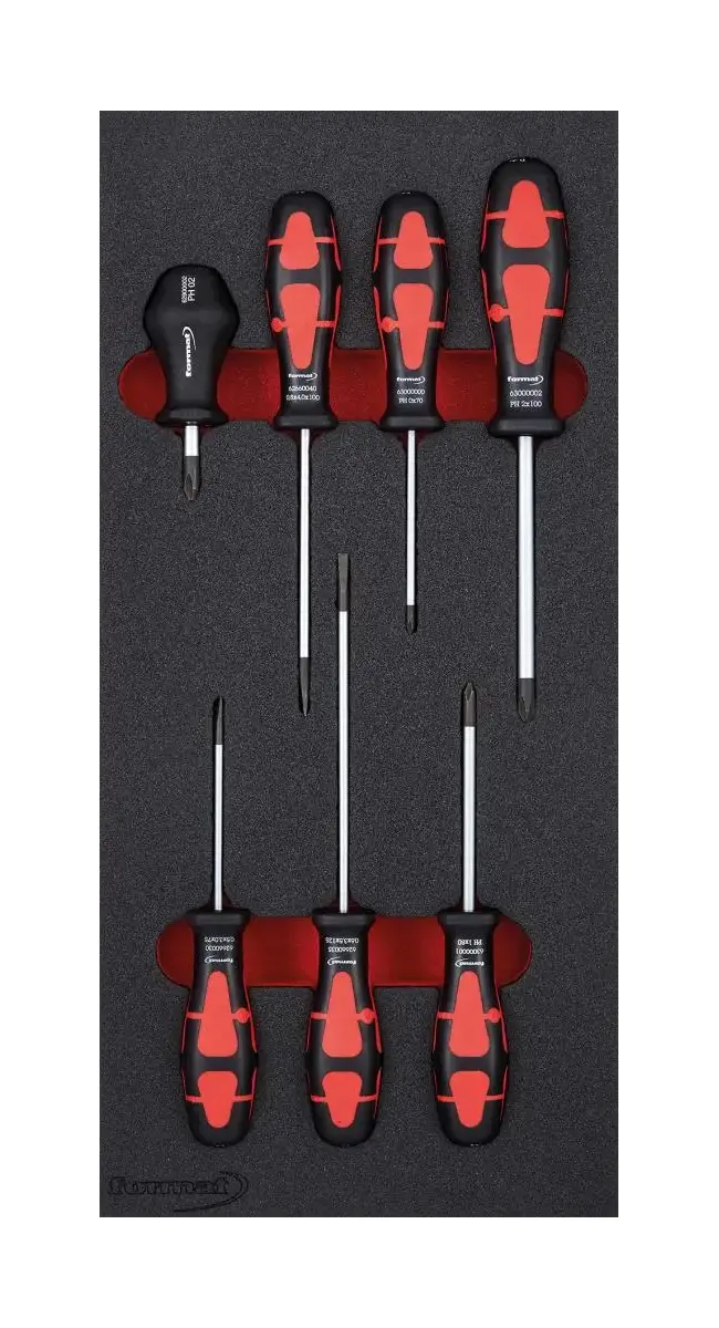 Modul pro nástroje 1/3 Šroubovák FORMAT