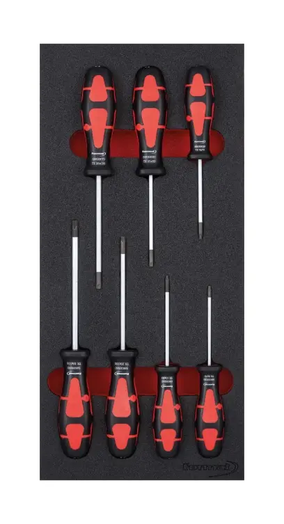Modul pro nástroje 1/3 Šroubovák Torx FORMAT