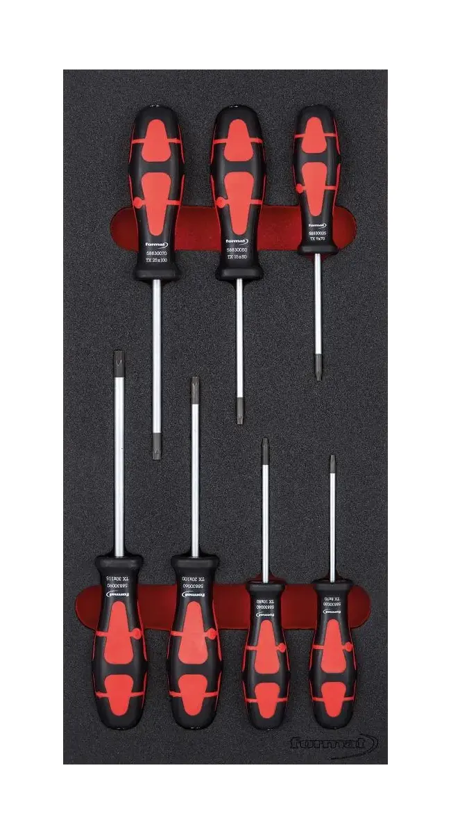 Modul pro nástroje 1/3 Šroubovák Torx FORMAT