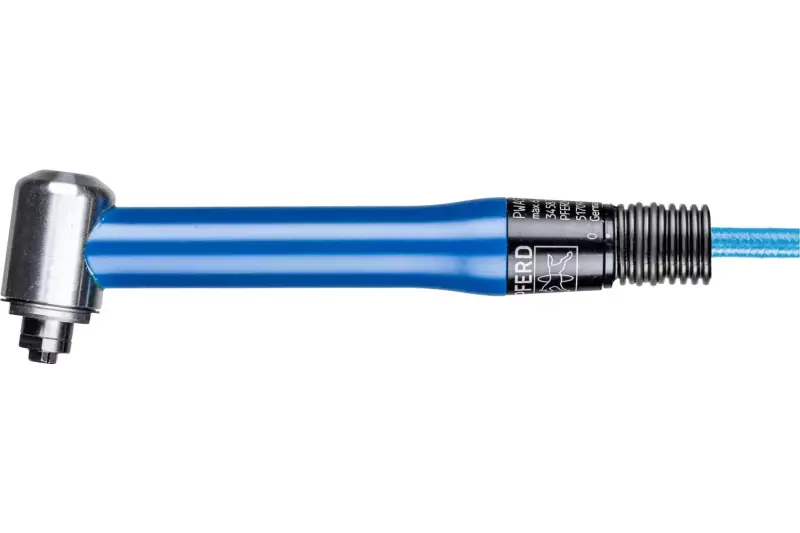 151264-pferd-230985-pwas-1-800-dv-md-mit-pls-4-8-bl