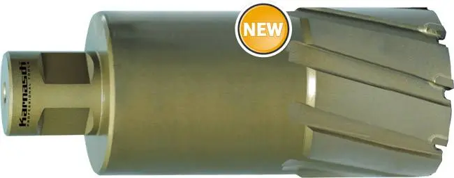 15577-karn-20-1316-100