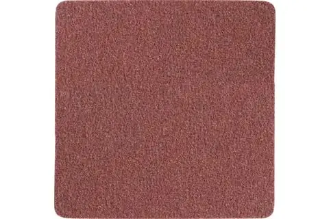 173333-pferd-603369-cd-sq-35x35-a-180-vorne