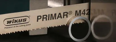 174777-wikus-primar-m42