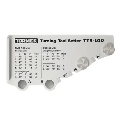 181968-tts-100