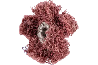 185897-pf4007220899212