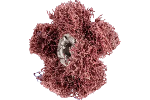 Fleecová brusná hvězda POLINOX  PNST průměr 25 mm závit 8-32 UNC A80 (PF4007220899212)