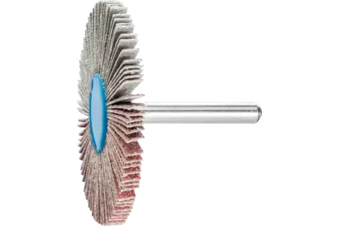Lamelový brusný kotouč Pferd F 6005/6 A 60 (PF4007220951071)