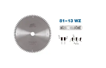 Pilový kotouč s SK pr. 200 x 2,5/1,6 x 20 - 48 WZ, typ 22 5381-13 (PI22538113WZ200)