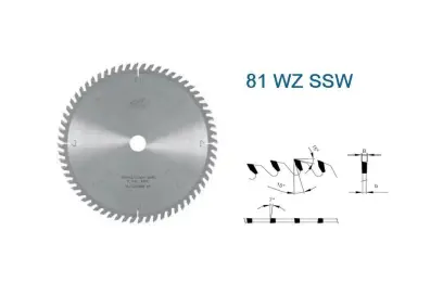 Pilový kotouč s SK pr. 260 x 2,8/1,8 x 30 - 60 WZ, typ SSW 22 5381 (PI225381WZSSW26060)