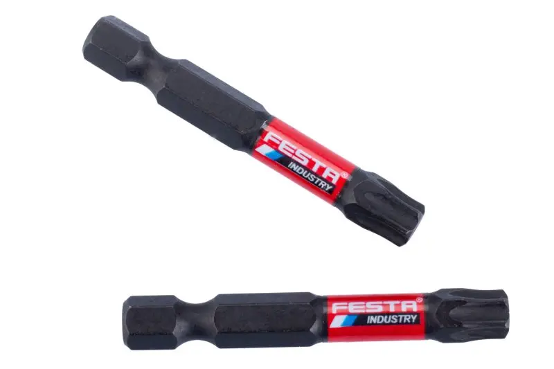 Torzní bit FESTA INDUSTRY T40 50mm S2 1/4" 2ks (L18725)