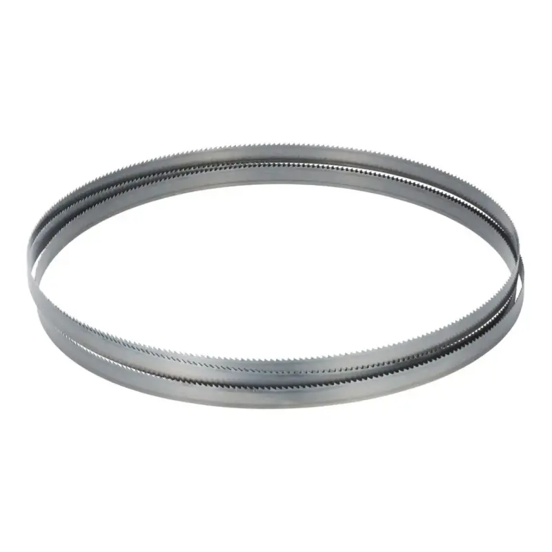 Bernardo 11-1000 Pilový pás na dřevo 1575 x 6,35 x 0,35 mm (10 TPI) (BER111000)