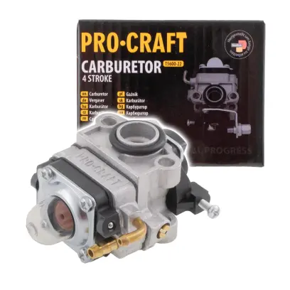 Karburátor 4.takt PROCRAFT (PRCT5600-22)