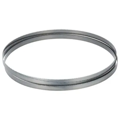 Bernardo 11-1019 Pilový pás na dřevo 5611 x 38 x 0,65 mm (TPI 2) (BER111019)