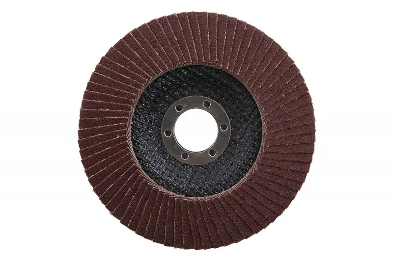 Lamelový kotouč 125mm hr.100 (L21789)