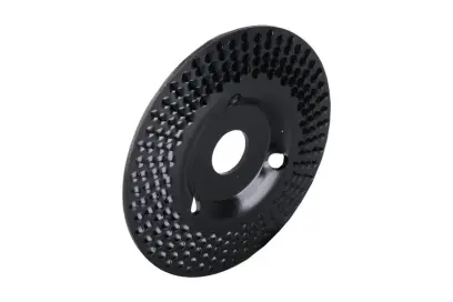 Kotouč rašplový FESTA hrubý 125x22.2mm (L21801)