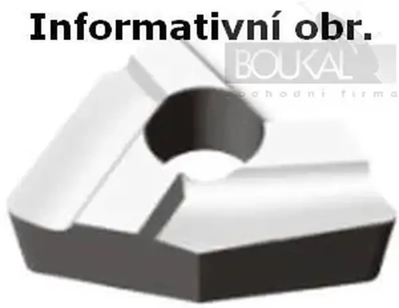 Vyměnitelné břitové destičky HM - T31005Az. Sada 10 kusů (C5) (BER443232)