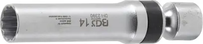55586-bgs-2390