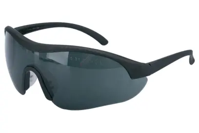 Ochranné brýle ASTRILUX tmavé (L50512)