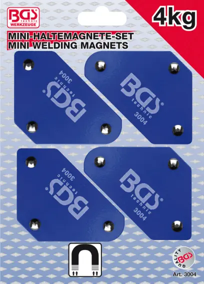 59336-bgs-3004
