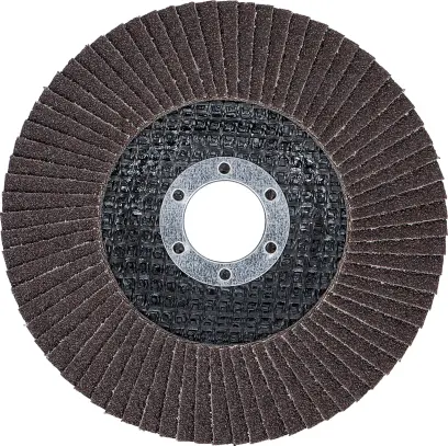 BGS 3976 Lamelový brusný kotouč průměr 125 mm K 80 (BGS103976)
