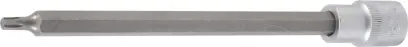 73075-bgs-4479