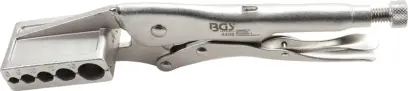 73213-bgs-4498