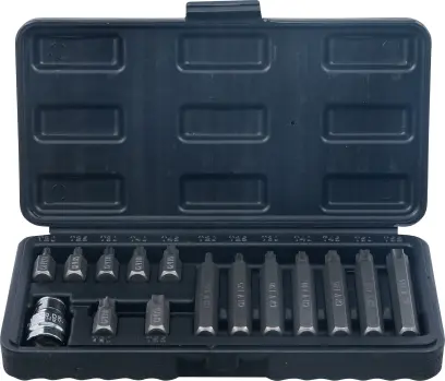 Bity 3/8" Kraftmann T-profil T20 ÷ T55, dlouhé a krátké (Sada 15 dílů). BGS 5040 (BGS105040)