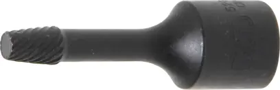 79962-bgs-5281-6