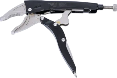 Skřipcové kleště | "2 V 1" | 200 mm (BGS106803)