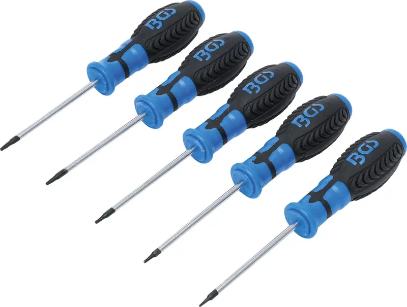 Sada šroubováků  T-profil (pro Torx)  T6 - T10  5dílná