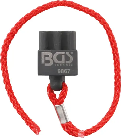 9054-bgs-9867