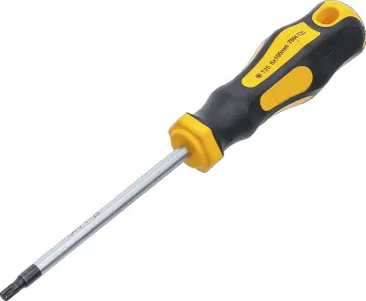 BGS 7844-T25 Šroubovák Kraftmann T-profil (pro Torx) T25 ze sady 7844 (BGS107844-T25)