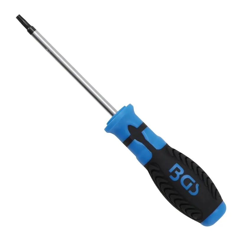 Šroubovák T-profil T25 BGS107849-T25 s otvorem (BGS107849-T25)