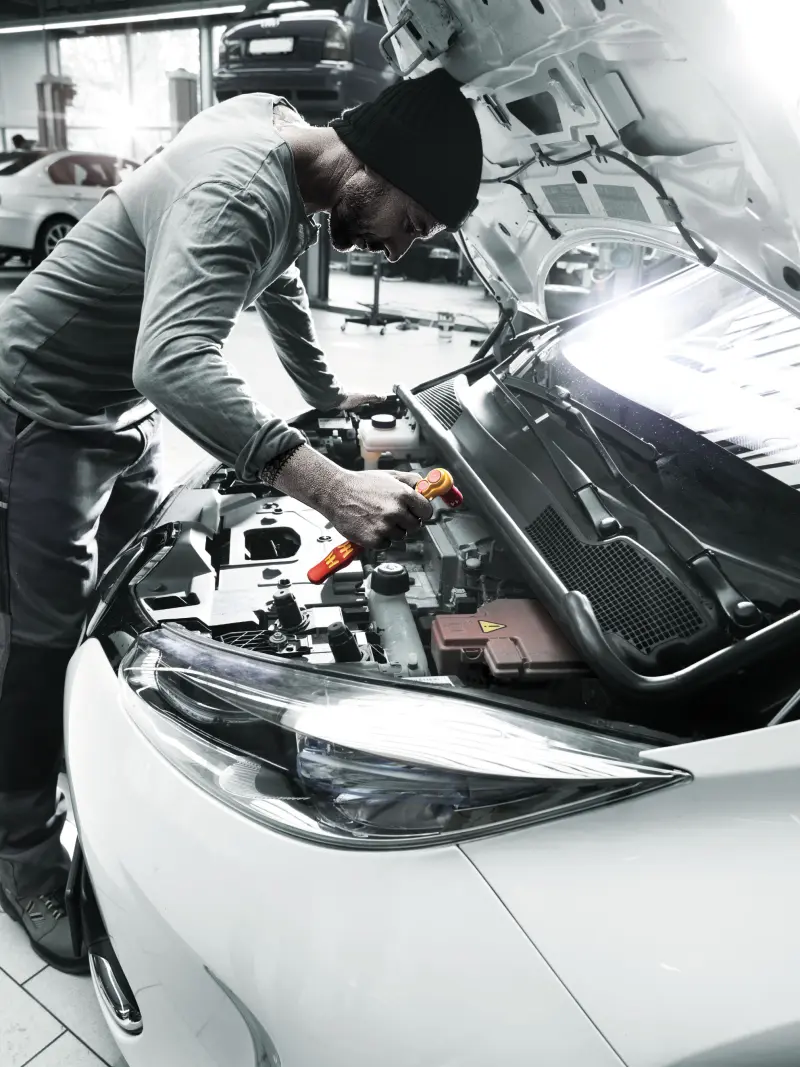 112862-004966-motiv-01-10050