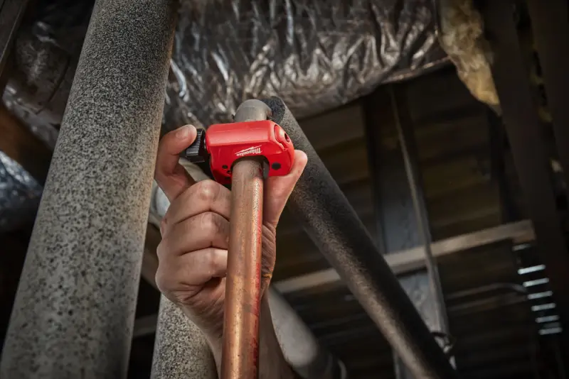 125654-48229251-app-1