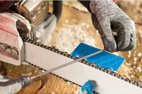 131260-pferd-021934-412-200-x-5-16-premium-04