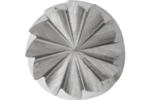 133497-pferd-049464-zyas-0210-3-z5-02