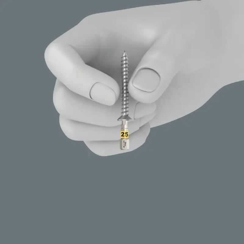 134079-066140-tipp-867-1-torx-hf-btz-haltefunktion