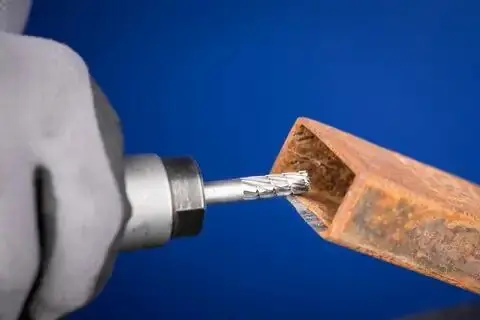 134836-pferd-060995-83-hss-02