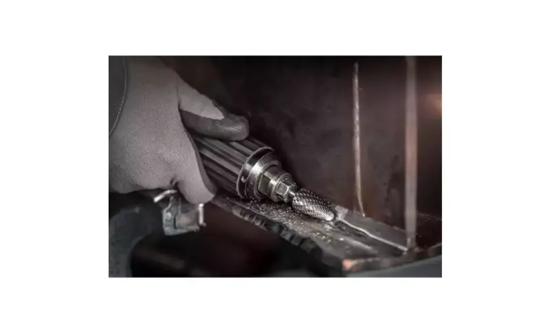 135805-pferd-093689-rbf-1630-6-allround-02