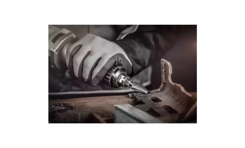 135805-pferd-093689-rbf-1630-6-allround-03