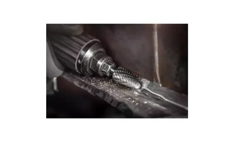 135805-pferd-093689-rbf-1630-6-allround-04